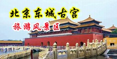 艹卄女人bb视频中国北京-东城古宫旅游风景区